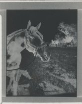 Photo 0457 - Nashua c. 1955